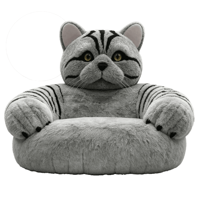 Cat Whiskers Love Seat - A Purrfectly Plush Companion - Office Logix Shop
