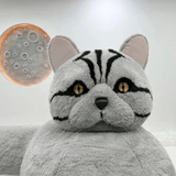 Cat Whiskers Sofa - The Cat You Can Sit On - Office Logix Shop