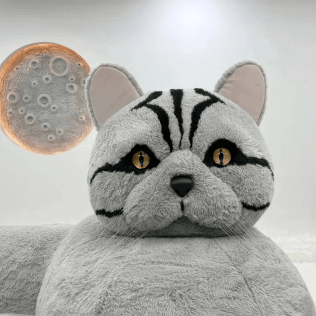 Cat Whiskers Sofa - The Cat You Can Sit On - Office Logix Shop