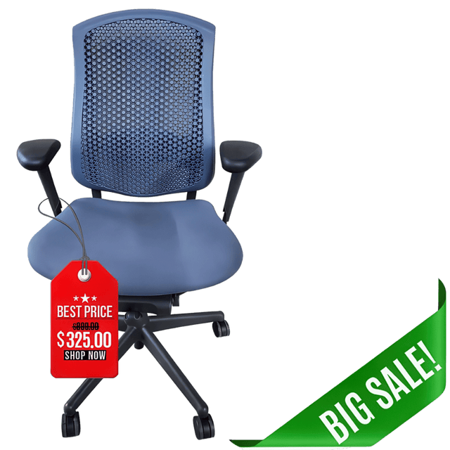 Herman Miller Office Chairs Herman Miller Celle Chair Fully Loaded (Renewed)