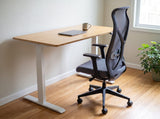 Nova Logix Chair and Herman Miller Top Bamboo Standing Desk Bundle - Office Logix Shop
