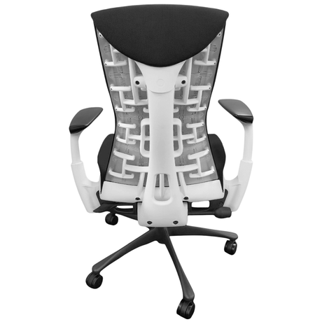 Office Logix Shop Herman Miller Embody Chair (Renewed)