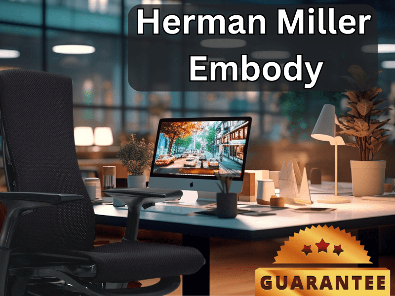 Office Logix Shop Herman Miller Embody Chair (Renewed)