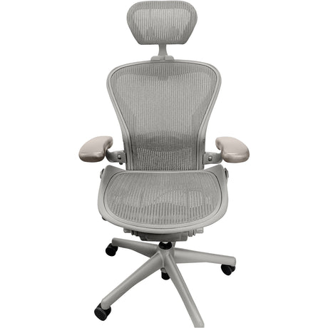 Office Logix Shop Office Chairs Herman Miller Aeron V1 (Classic) Chair and Headrest Saving Bundle (Size B)