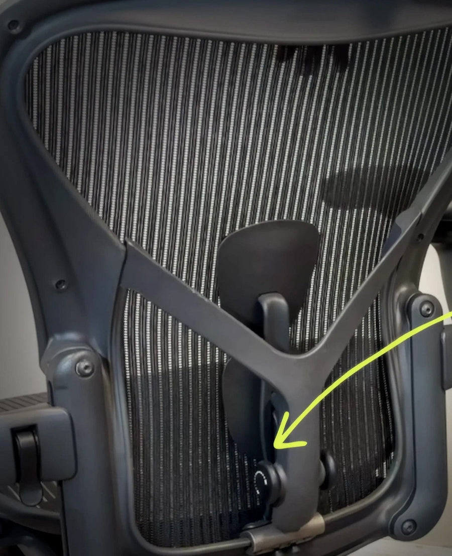 PostureFit SL Kit with OLS Adapter