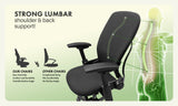 Steelcase Leap V2 Chair with Black Base and Frame (Rеnеwеd) - Office Logix Shop